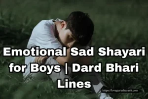 60+ Emotional Sad Shayari for Boys