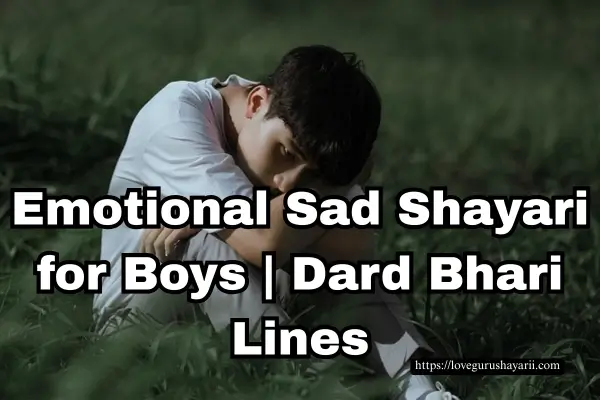 60+ Emotional Sad Shayari for Boys