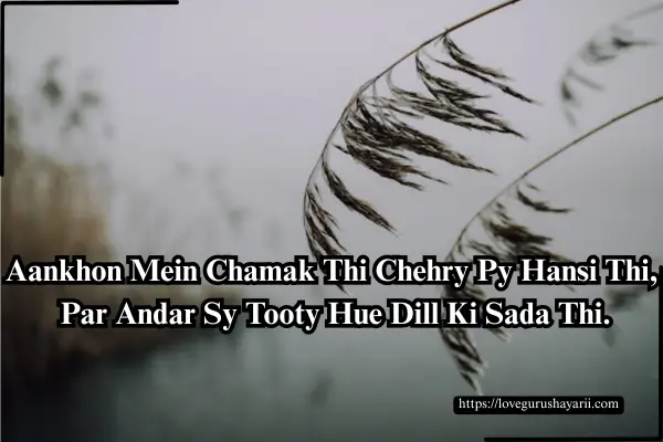 Emotional Sad Shayari in Hindi
